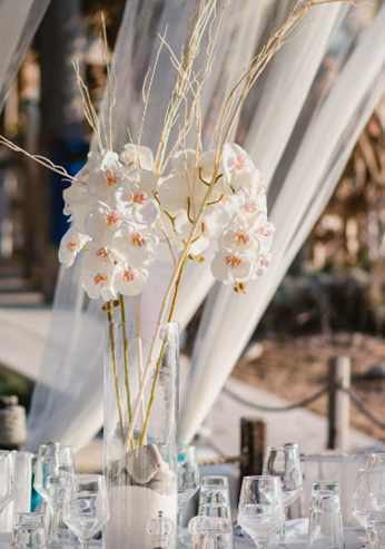 Clear Glass Conical Vase With Orchid Stems And White Stem Twigs For The Beach Theme