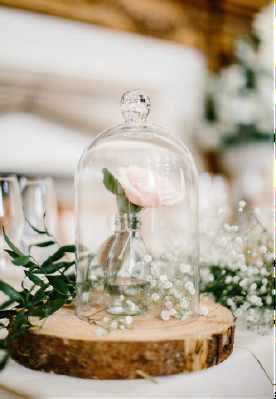 Glass Dome Wood Slice