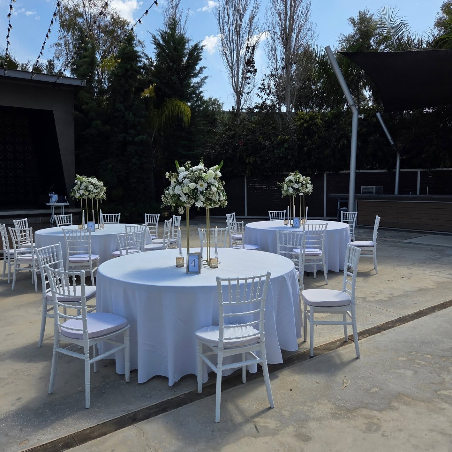 Base Modern Sea-View Wedding - Paphos — photo 10