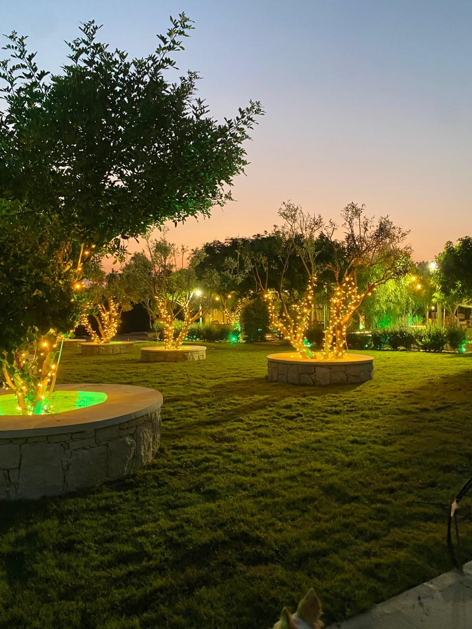 Oasis Gardens - Paphos — photo 4