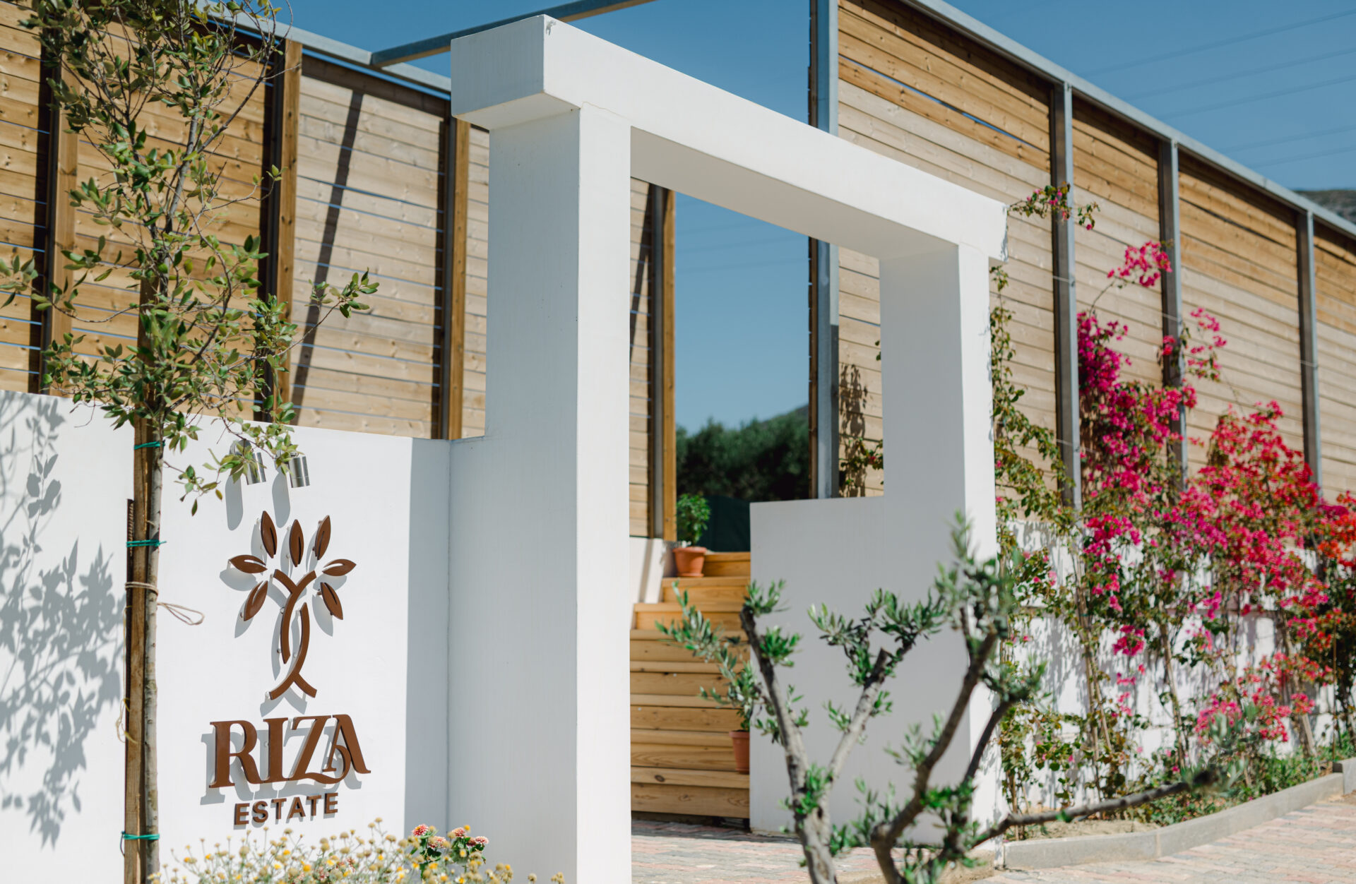 Riza Estate - Crete — photo 4