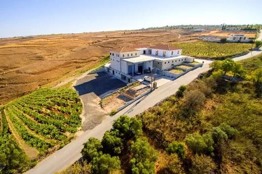 Vasilikon Winery — photo 2